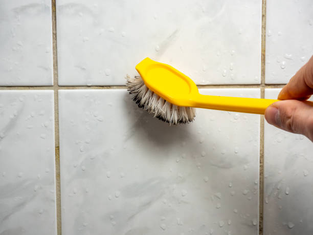 Best Fast Mold Removal  in Oroville, CA