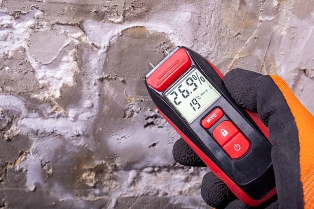 Best Mold Testing and Removal  in Oroville, CA