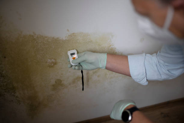 Best Mold Testing  in Oroville, CA