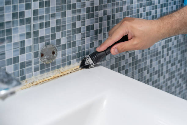 Best Mold Removal Company Near Me  in Oroville, CA