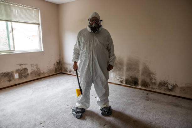 Best Toxic Mold Removal  in Oroville, CA
